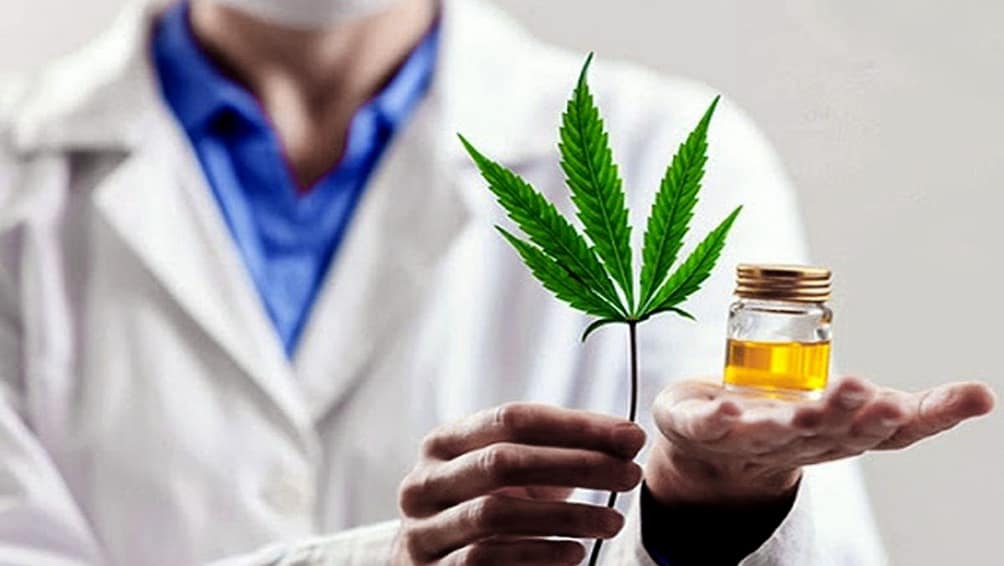 Las respuestas positivas del cannabis medicinal a la epilepsia refractaria superaron el 80%