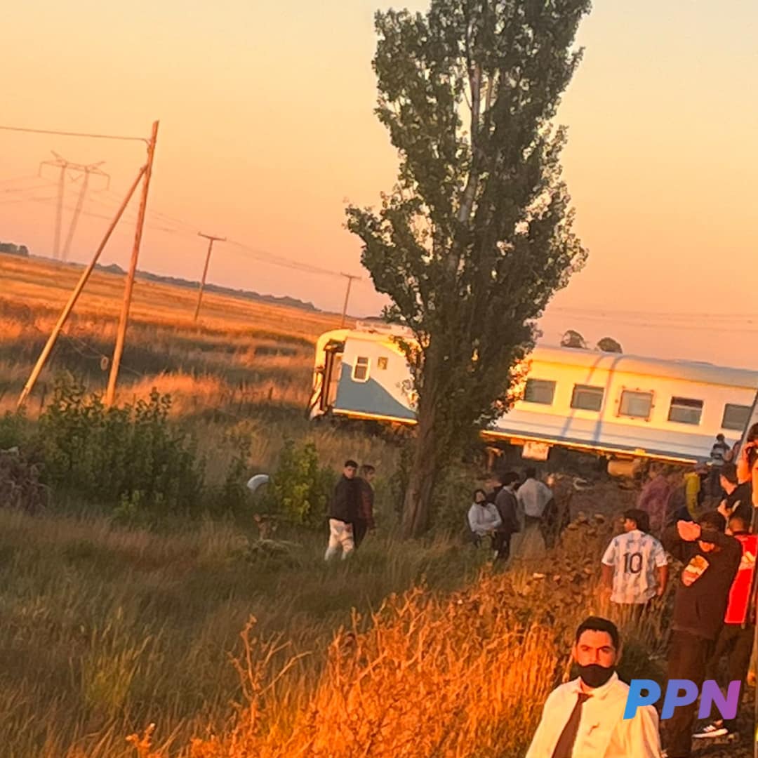 Descarrilamiento: Trenes Argentinos suspendió servicios a Plaza Constitución