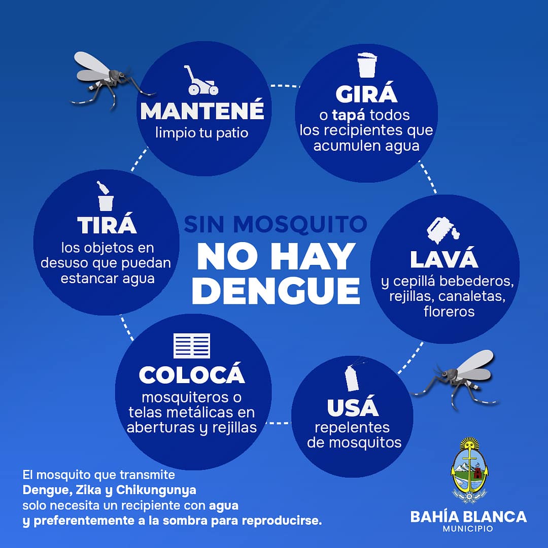 Prevención de dengue en la ciudad