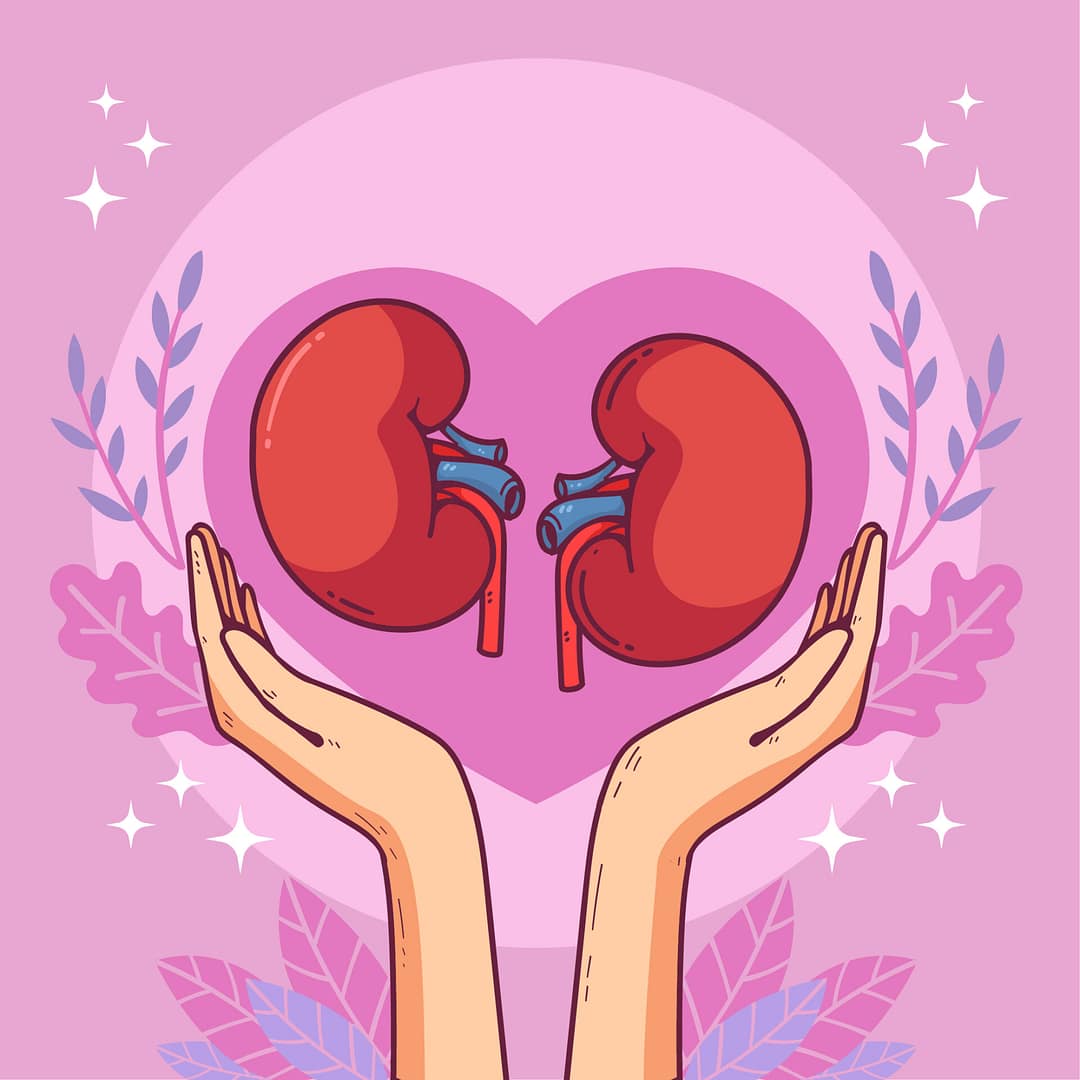 Día Mundial del Riñón: HAY 4.6 MILLONES DE ARGENTINOS CON ENFERMEDAD RENAL