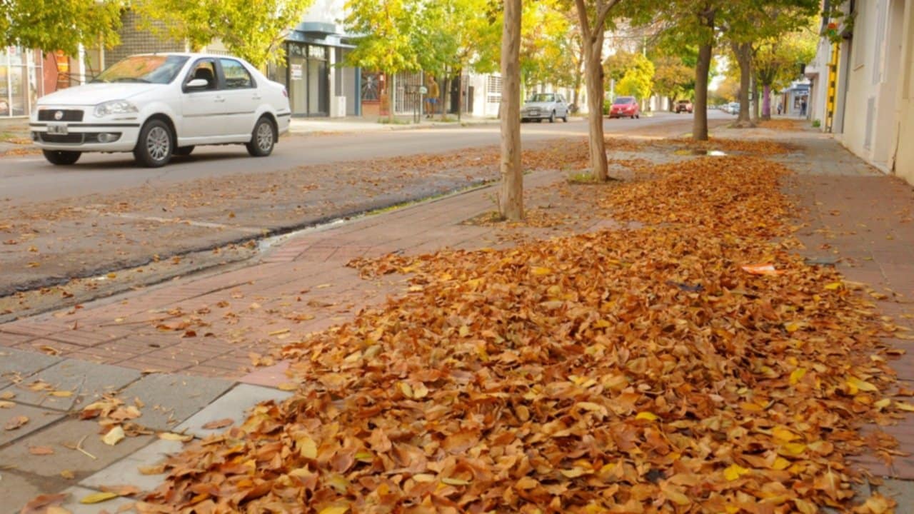 Cómo estará el tiempo en otoño