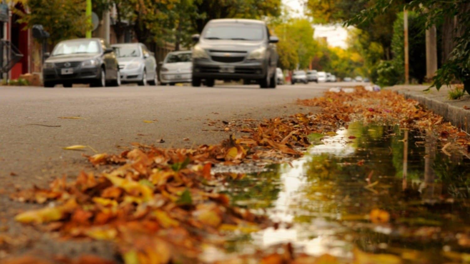 Llegó el otoño ¿qué es el equinoccio y por qué este año fue el 20 de marzo y no el 21?