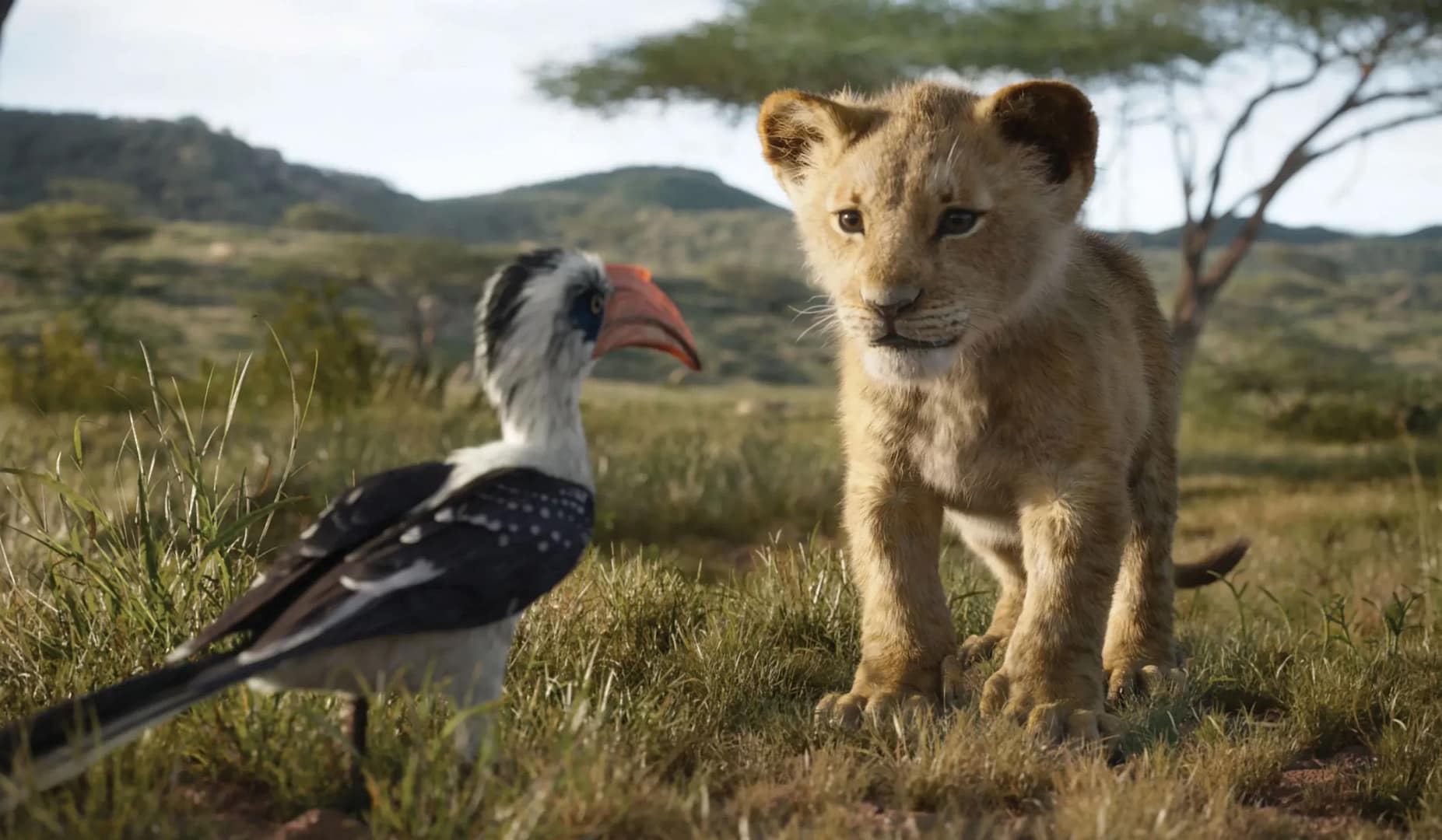 Disney realizará una precuela de “El Rey León”