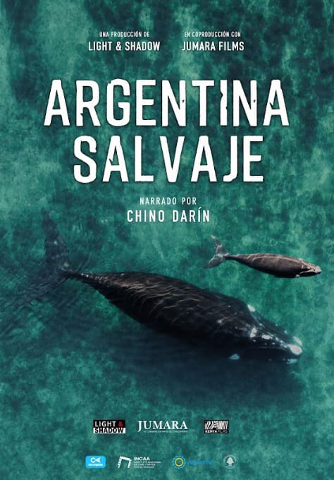 Llega a cines “Argentina Salvaje” la primera película nacional de naturaleza