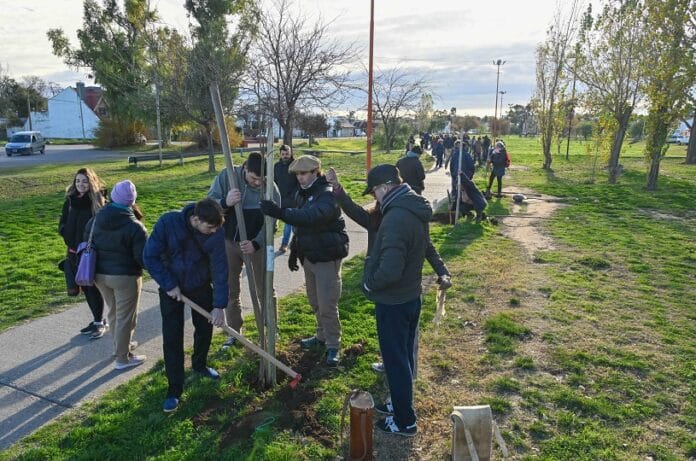“Reverdecer Bahía”: próximas jornadas de reforestación