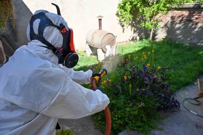 Tareas de prevención contra el Dengue EN LA CIUDAD