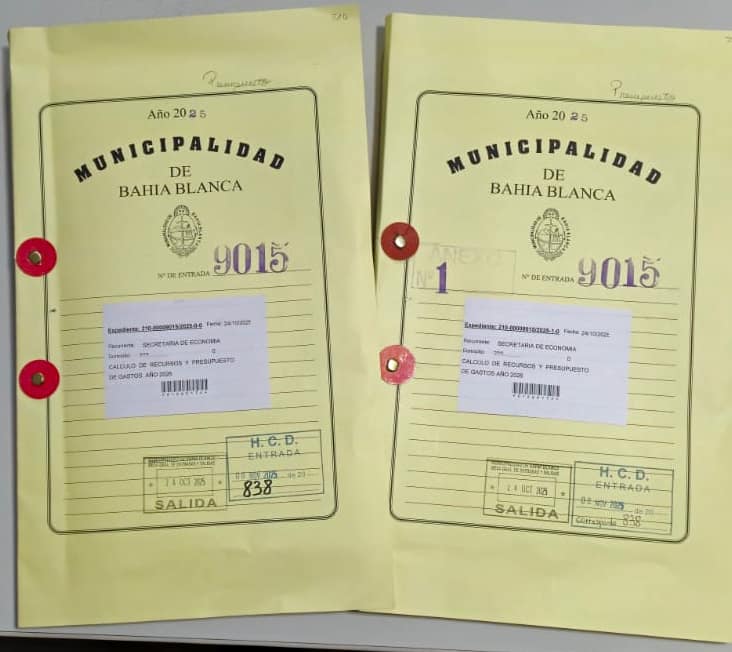 Ingresó el Presupuesto Municipal 2026 al HCD