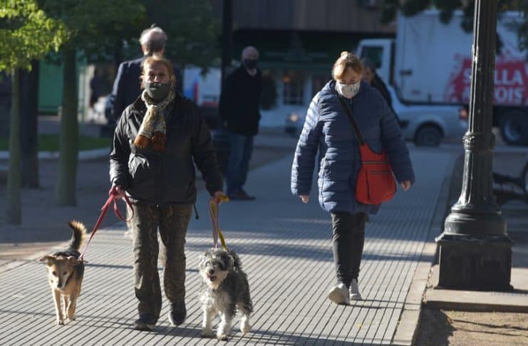 Advierten sobre posibles cebos tóxicos en la vía pública