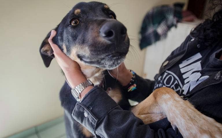 29 DE ABRIL: ¿QUÉ PASÓ UN DÍA COMO HOY?