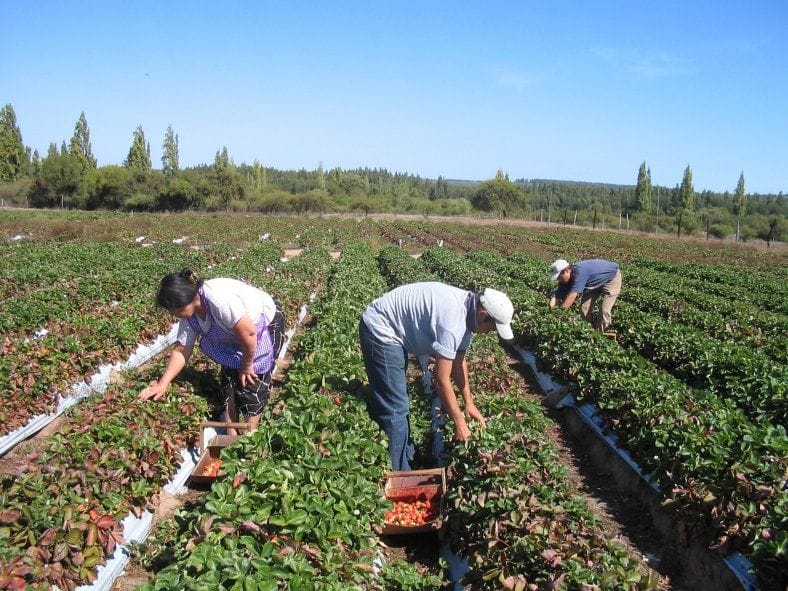 De qué se trata la nueva Mesa de Agricultura Familiar en la provincia de Buenos Aires