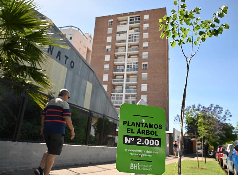 Arbolado urbano: se superaron las 2 mil plantaciones