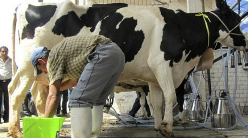 14 DE NOVIEMBRE: ¿QUÉ PASÓ UN DÍA COMO HOY?