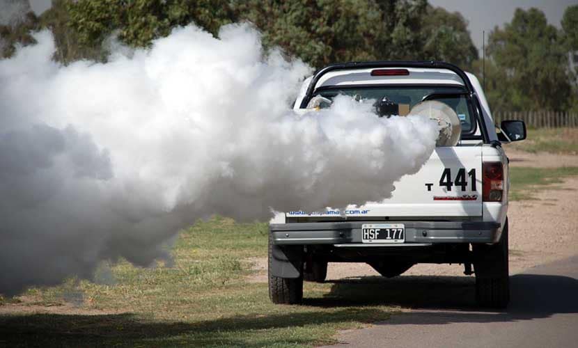 Fumigación: El cronograma de esta semana