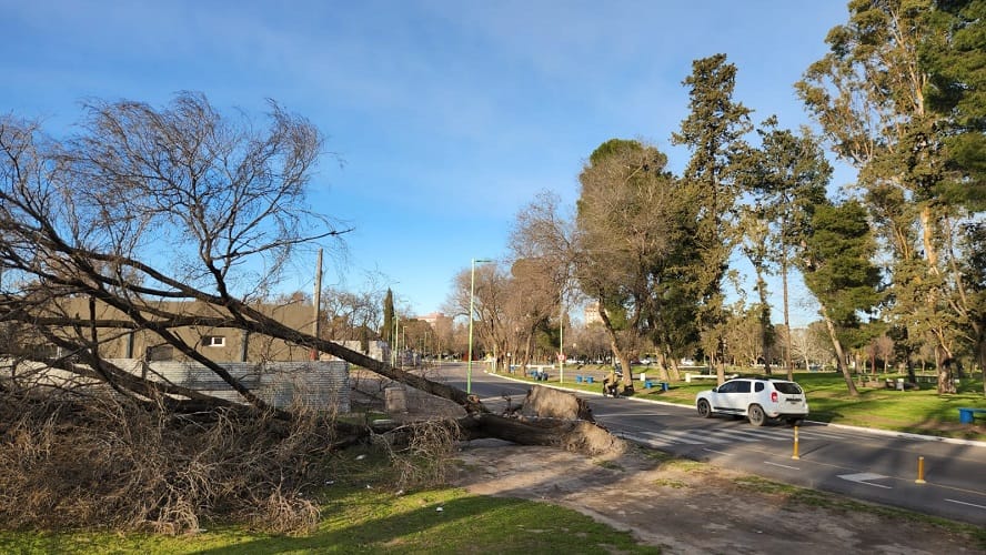 Tras el fuerte viento que azotó a Bahía, cómo seguirá el tiempo