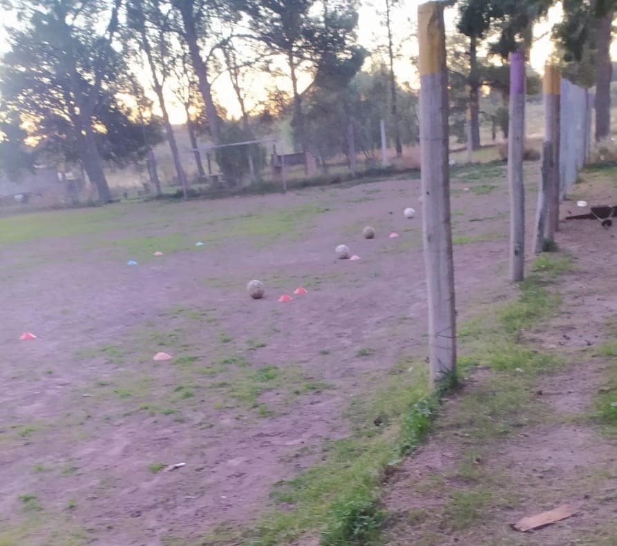 En menos de un mes volvieron a robar en el Predio del Club Tiro Federal