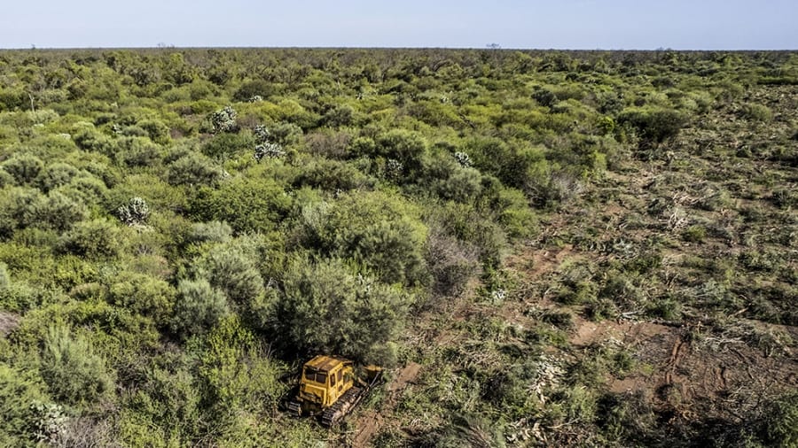 La agricultura explica más del 90% de la deforestación tropical